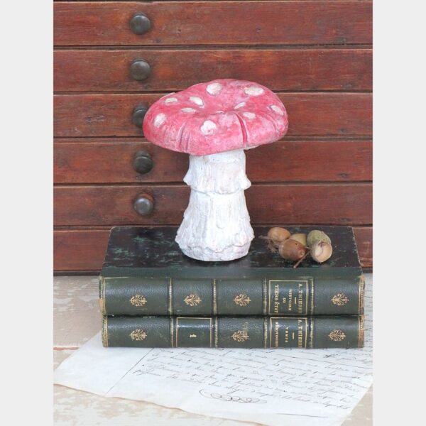 Decoratieve paddenstoel