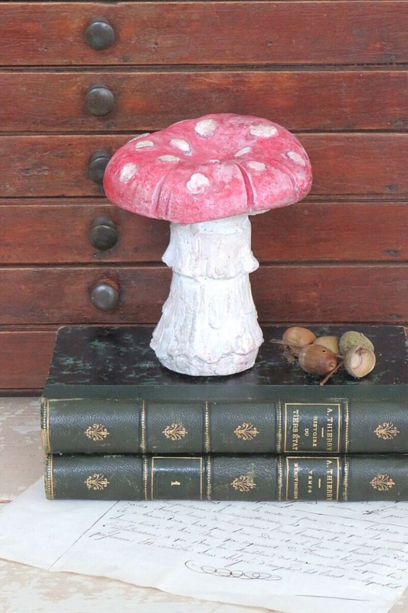 Decoratieve paddenstoel