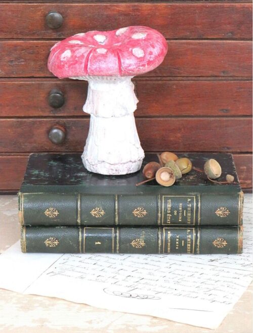 Decoratieve paddenstoel