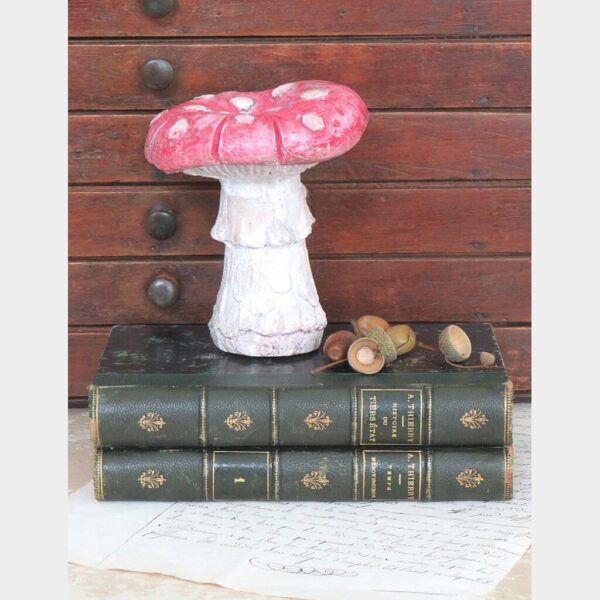 Decoratieve paddenstoel