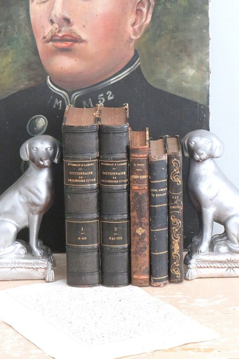 Set (2)oude hondenbeelden