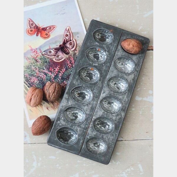 Oude chocoladevorm "Walnoot"