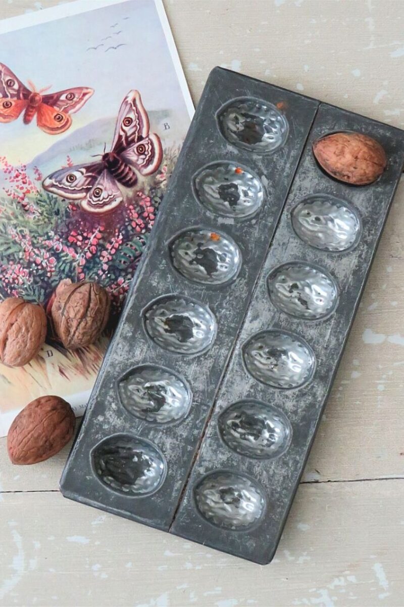 Oude chocoladevorm  "Walnoot"