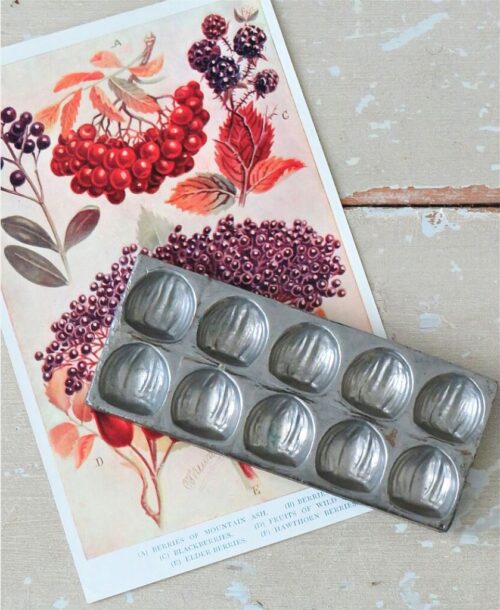 Oude chocoladevorm  "Hazelnootjes"
