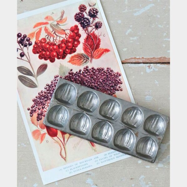 Oude chocoladevorm "Hazelnootjes"