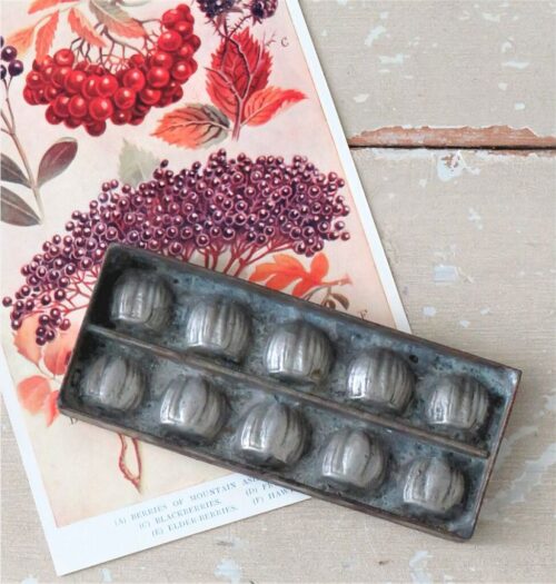 Oude chocoladevorm  "Hazelnootjes"