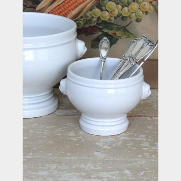 Kleine Franse terrine Pillivuyt