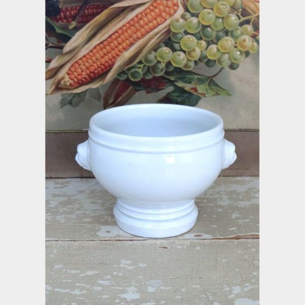 Kleine Franse terrine Pillivuyt