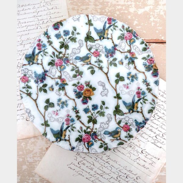 Oude Engelse schaal Royal Tudorware "Bluebird"