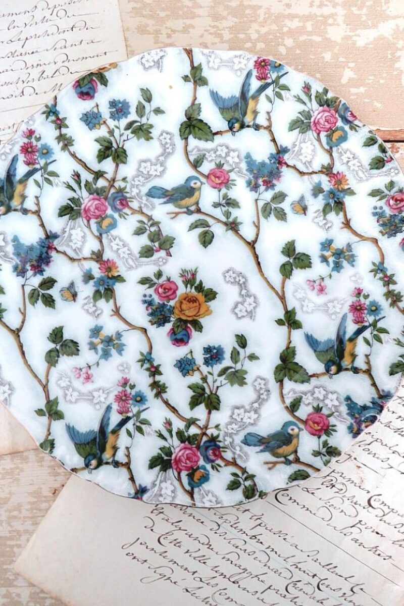 Oude Engelse schaal Royal Tudorware "Bluebird"