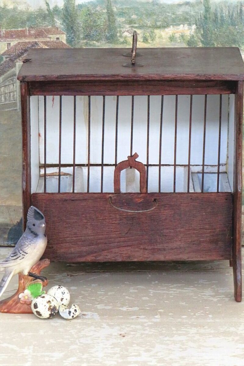 Oude vogelkooi/ vinkenkooi