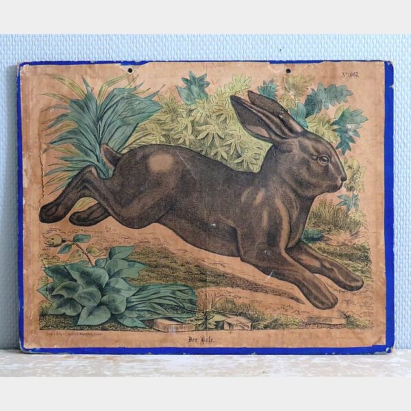 Antieke schoolplaat 19e eeuw "der Hale" (De haas)