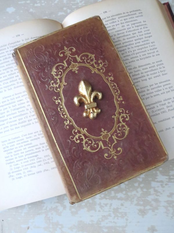 Gietijzeren ornamentje “Lys de France” G