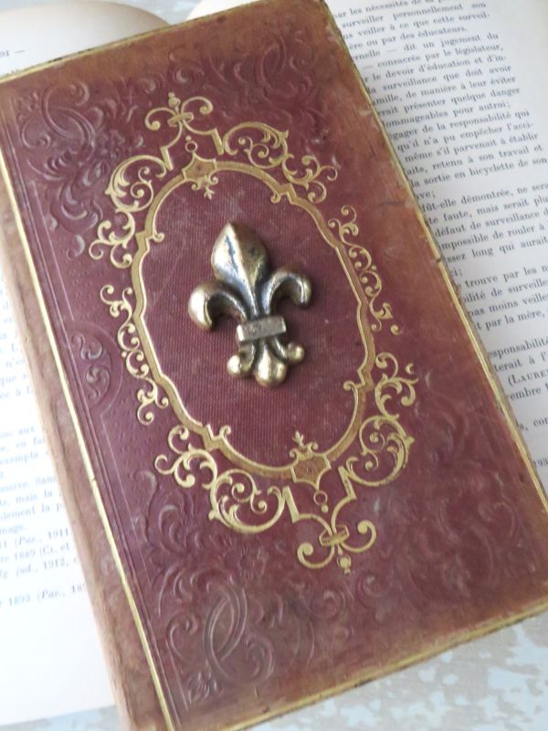 Gietijzeren ornamentje “Lys de France”