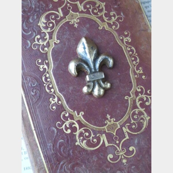 Gietijzeren ornamentje “Lys de France”