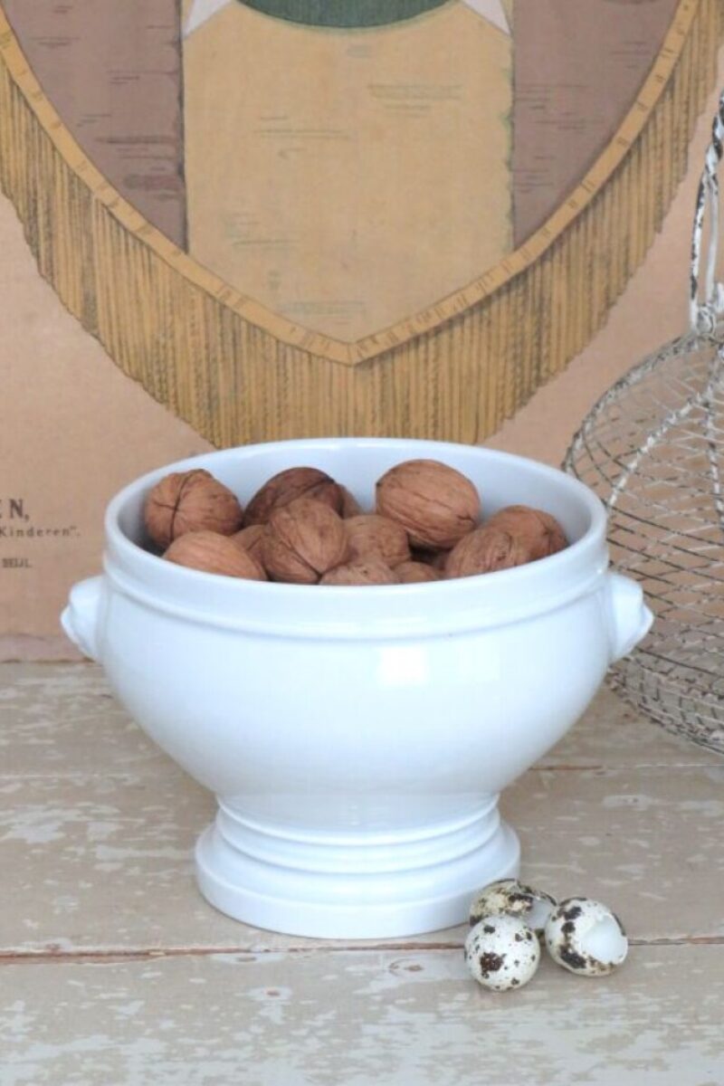 Grote Franse terrine Pillivuyt