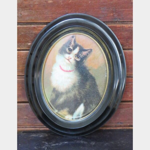 Oud lijstje “Poes”