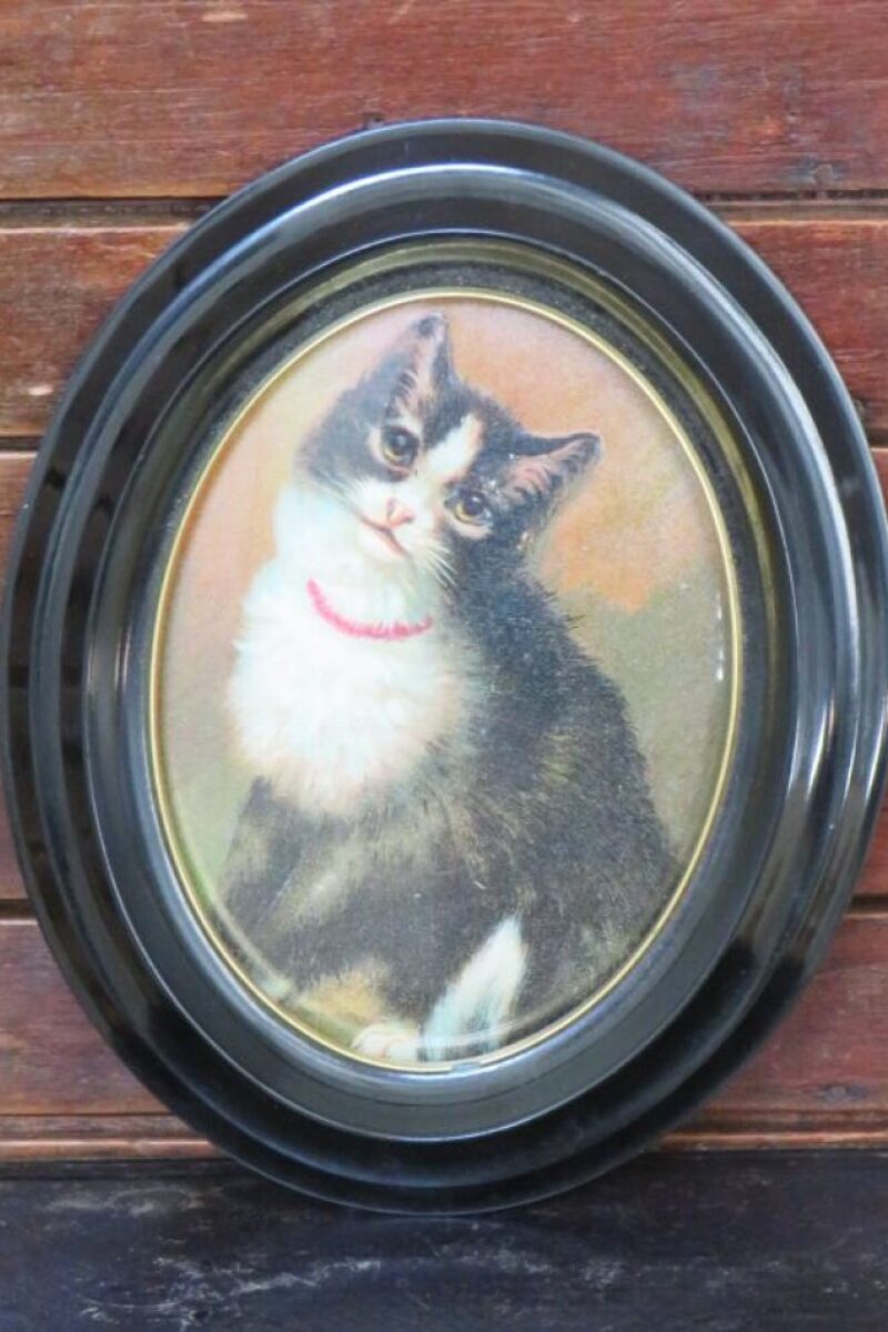Oud lijstje “Poes”