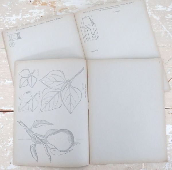 2 Antieke "Teekenoefeningen Lagere school J. B. Wolters 1900"