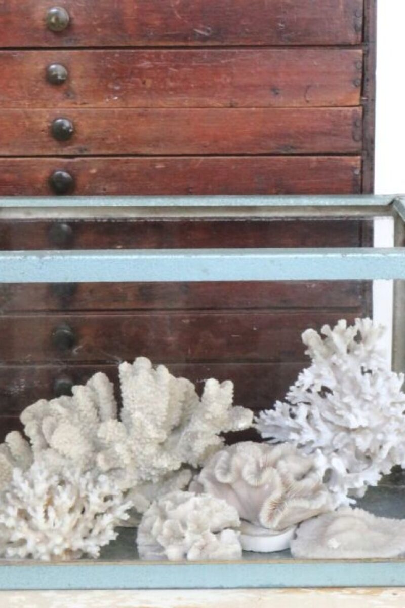 Oud zinken aquarium / vitrinekastje