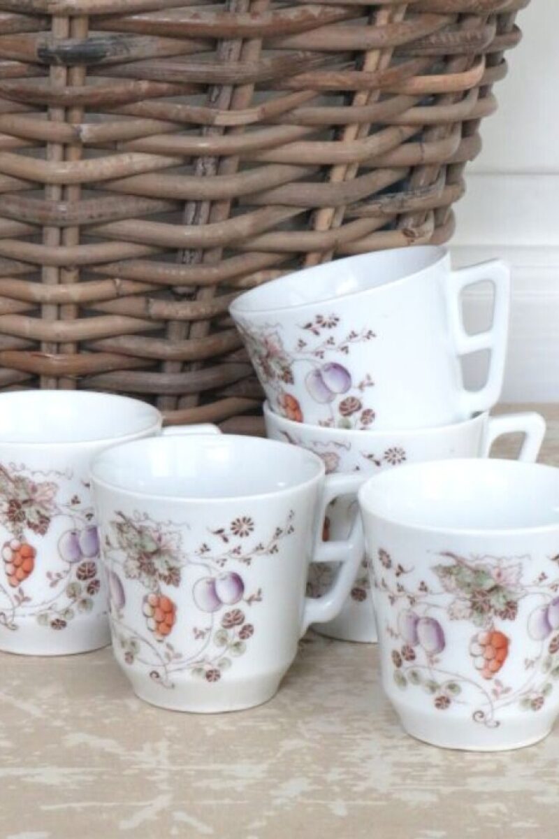 Set (5 st.)Franse kop/ beker “Fruitdecor”