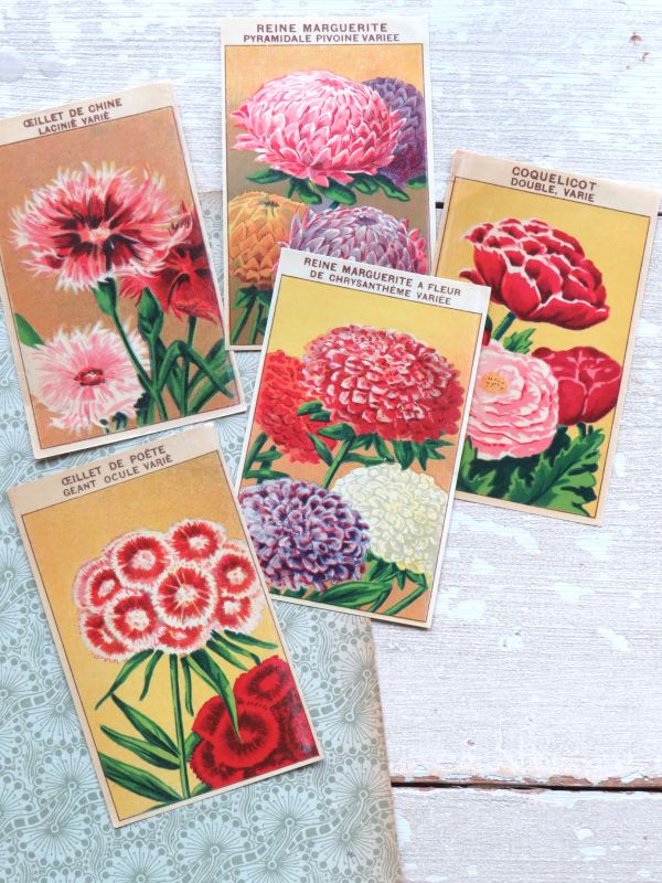 Oude Franse vintage zaadetiketten "Bloemen"