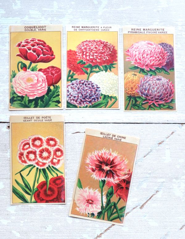 Oude Franse vintage zaadetiketten "Bloemen"