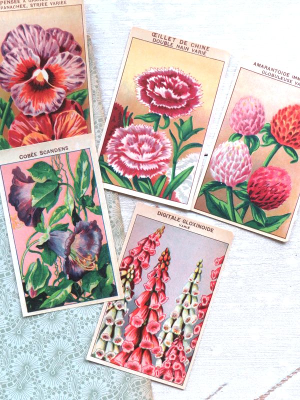 Oude Franse vintage zaadetiketten "Bloemen"