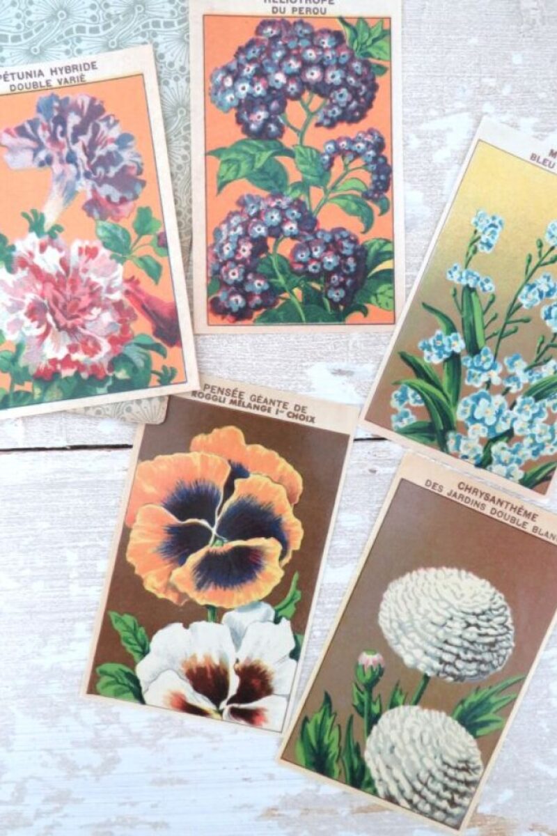 Oude Franse vintage zaadetiketten "Bloemen"