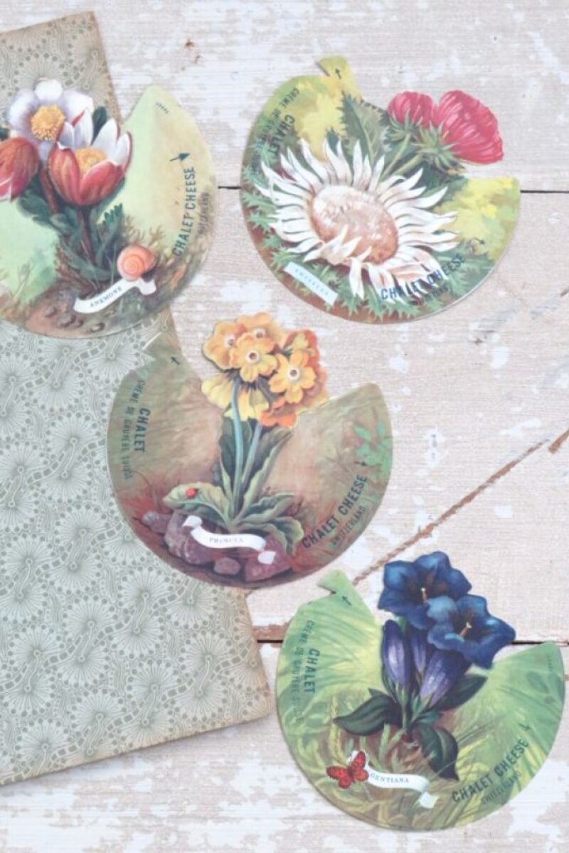 Set (4 st.) Reclamekaartjes Fromage Chalet "Bloemen"