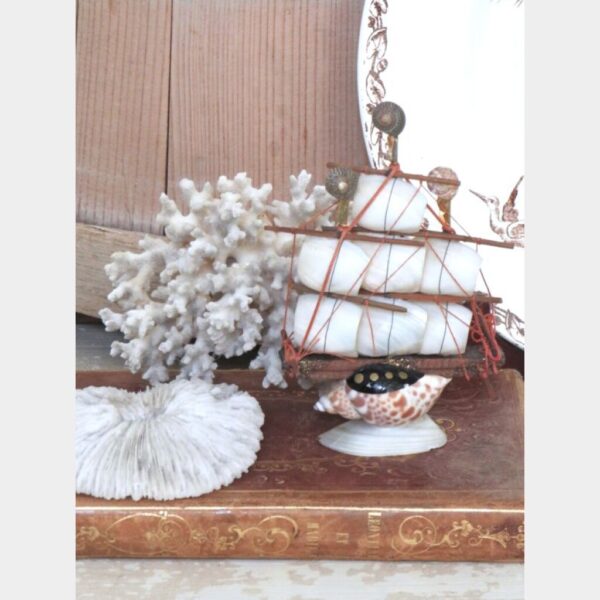 Vintage zeilschip (schelpen)