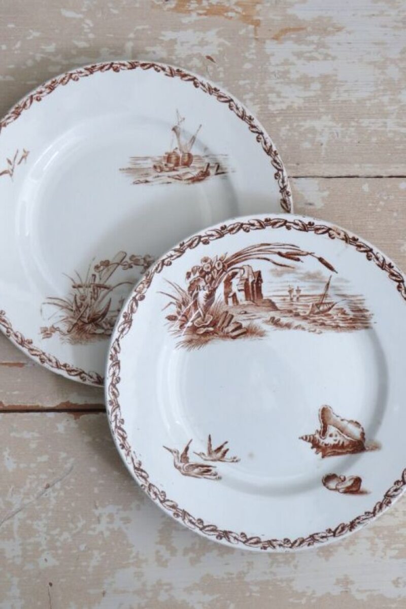 Antiek Frans bord Creil & Montereau "Marine"- Zeezicht, vogels & schelpen