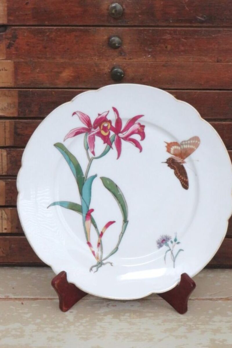 Oud bord "Orchidee, vlinder en korenbloem"