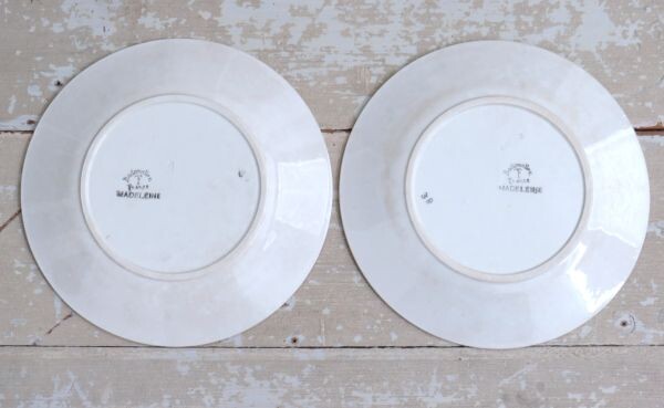 Antiek Frans dinerbord Badonviller "Madeleine" B