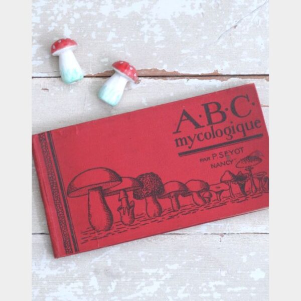 Antiek Frans boek "ABC Mycologique" ( paddenstoelen) -1926