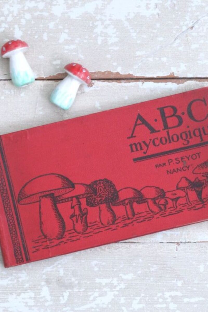 Antiek Frans boek "ABC Mycologique" ( paddenstoelen) -1926