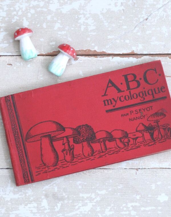 Antiek Frans boek "ABC Mycologique" ( paddenstoelen) -1926