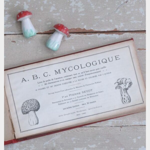 Antiek Frans boek "ABC Mycologique" ( paddenstoelen) -1926