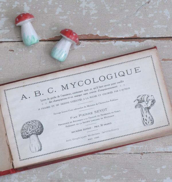 Antiek Frans boek "ABC Mycologique" ( paddenstoelen) -1926