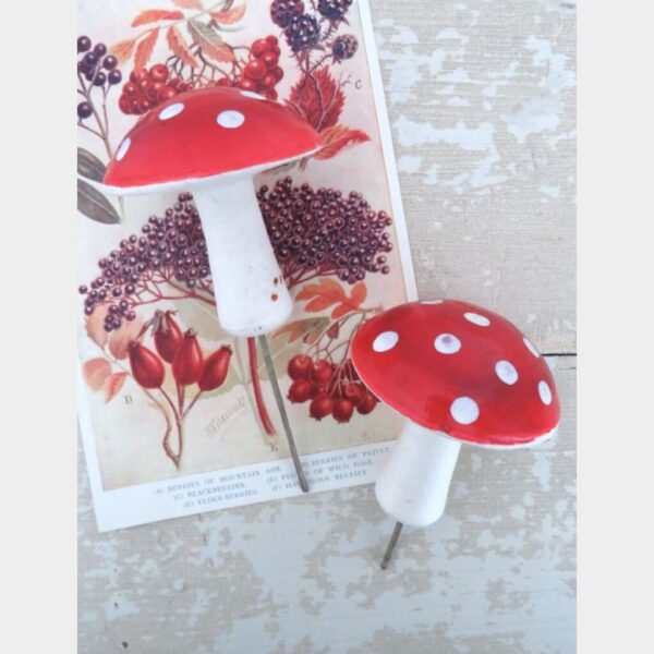 Oude watten paddenstoelen