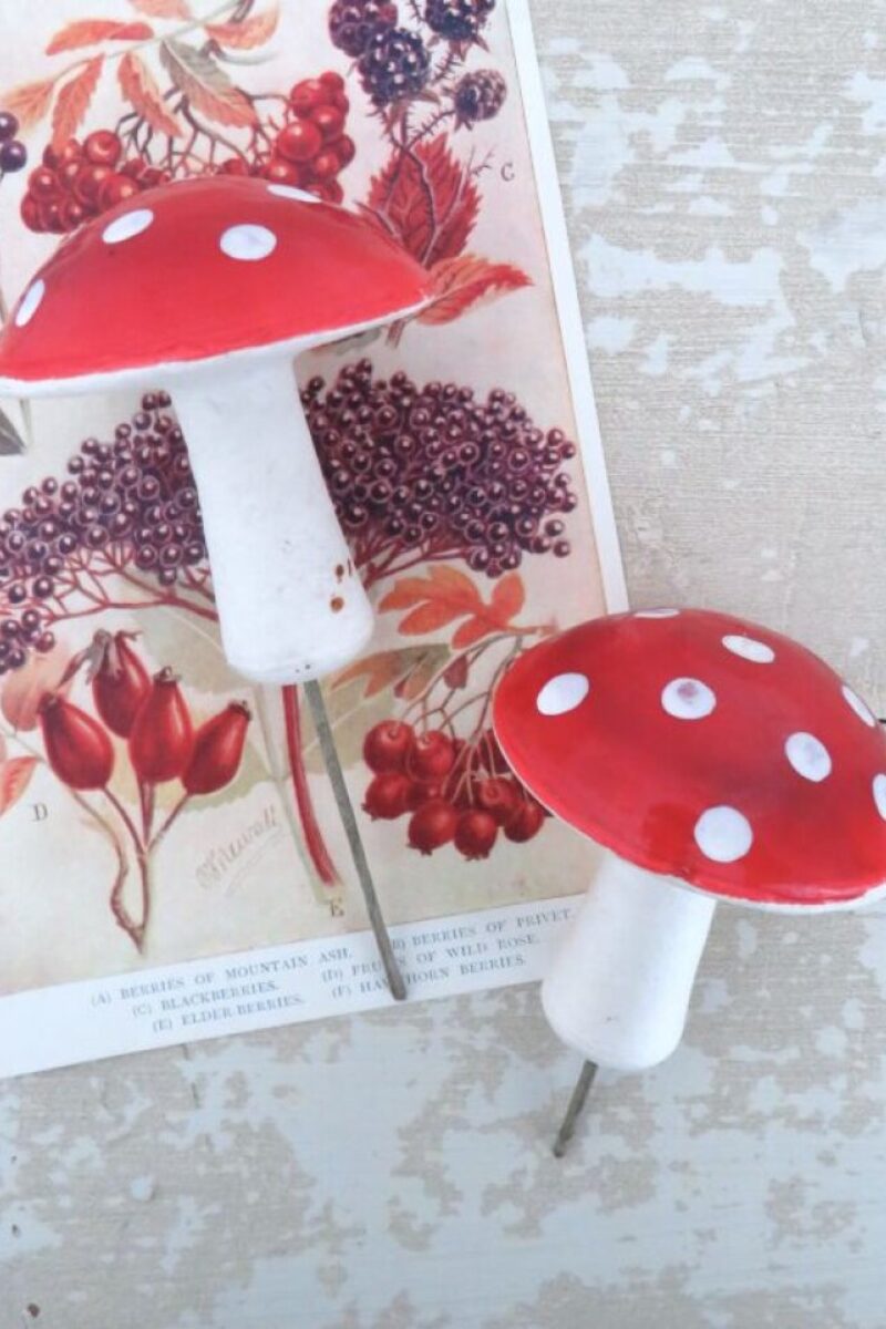 Oude watten paddenstoelen
