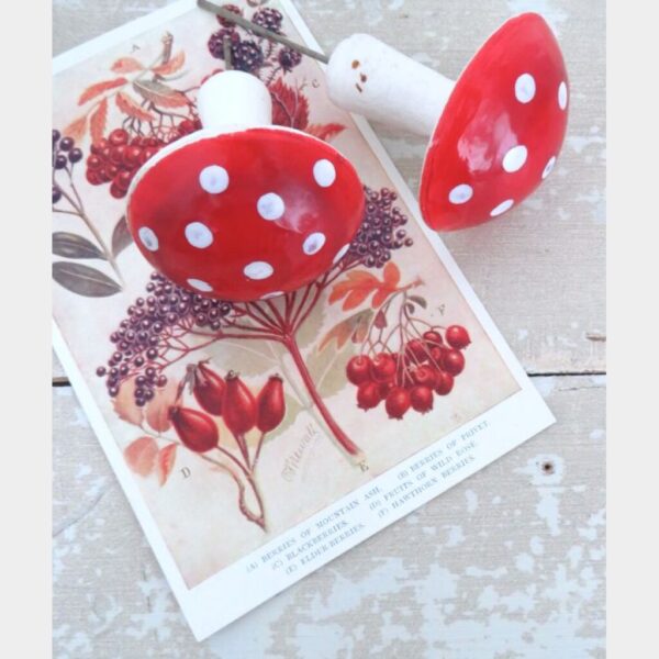 Oude watten paddenstoelen