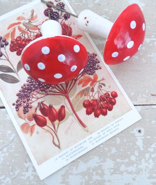 Oude watten paddenstoelen