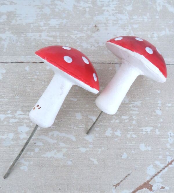 Oude watten paddenstoelen