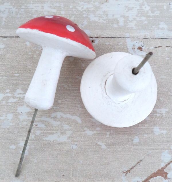 Oude watten paddenstoelen